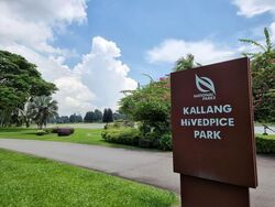 Kallang Riverside (D12), Apartment #589358551